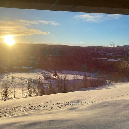 Budalstolen-Ny Og Flott Hytte-Sentral Beliggenhet Villa Geilo Dış mekan fotoğraf